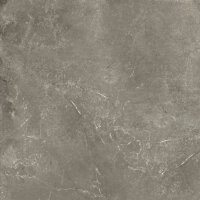 Harmony Taupe Nat. Rett. 60x60
Charge: C49 R
3 Stück...