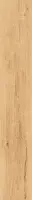Feelwood Blonde Rett. 30x120
 - Stück pro Karton =...