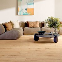 Feelwood Blonde Rett. 20x120
Charge: C51 5
4 Stück...